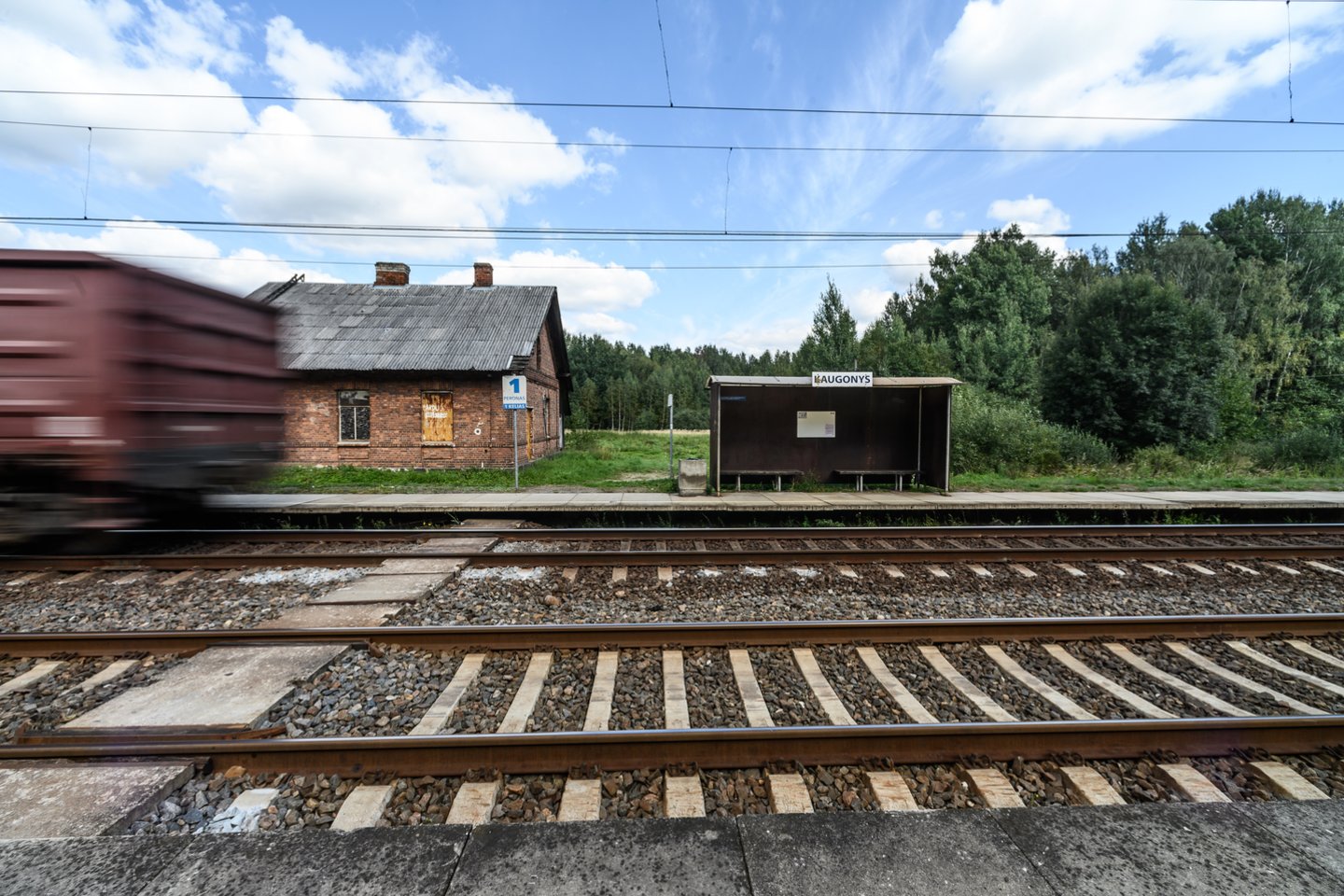 Rožytė kiekvieną dieną kelis kilometrus kulniuodavo į Kaugonių geležinkelio stotį.<br>V.Skaraičio nuotr.