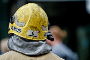 Ugniagesių pagalbos prireikė keturkojams: šunį rado giliame šulinyje, katiną – aukštame medyje