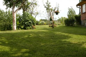 Nepatinka buvusių namo šeimininkų palikimas – prieš planuodami pastato pokyčius, turite kai ką žinoti