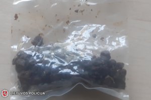 Grybų randama ne tik miškuose, bet ir per kratas: 23 metų vaikinas atsidūrė areštinėje