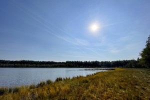 Parama padėjo įkurti svajonių verslą gamtos oazėje