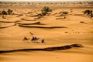 Naujas tyrimas atskleidė liūdną tiesą: temperatūra virš 50 laipsnių dabar pakyla dvigubai dažniau
