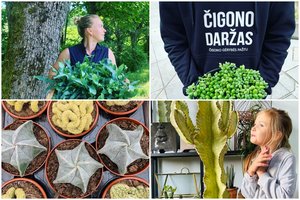 Į trobą kiauru stogu su kūdikiu ant rankų įsikrausčiusi miestietė įkūrė daržą, kurio net pavadinimas užminė mįslę