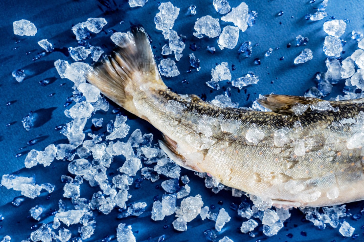 Žuvyje, ypač riebioje, gausu omega-3 polinesočiųjų riebalų rūgščių, kurios gaunamos tik su maistu.<br>123rf nuotr.