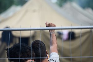 VSAT: prie sienos su Baltarusija sulaikyti 5 migrantai pasiprašė prieglobsčio Lietuvoje