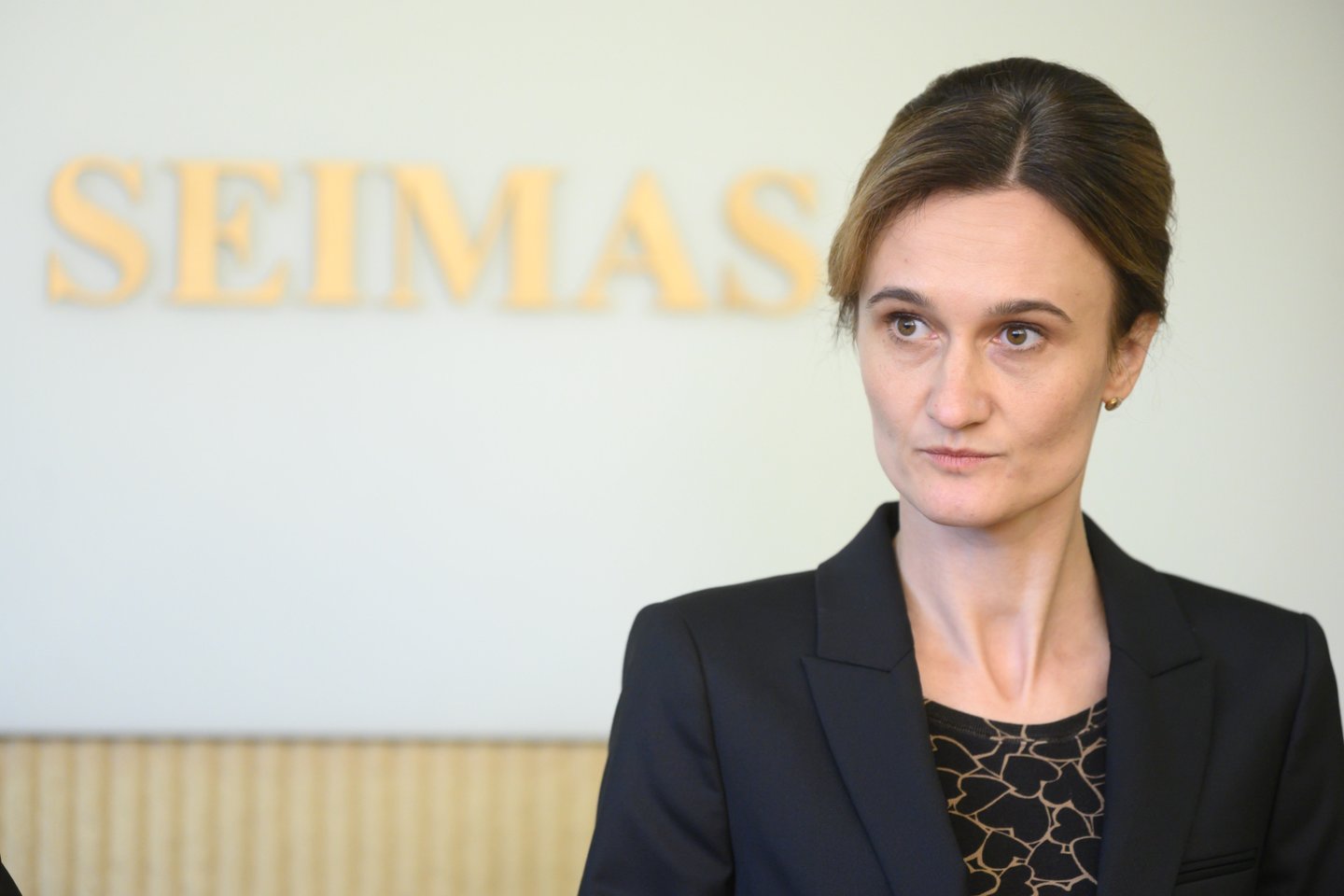 Įstatymo pataisas parengė ir įregistravo Seimo pirmininkė Viktorija Čmilytė-Nielsen kartu su Seimo Liberalų sąjūdžio frakcijos nariais.<br>V.Skaraičio nuotr.