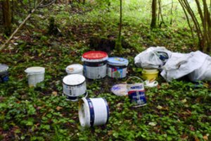 Už atliekų tvarkymo taisyklių pažeidimus siūloma bausti be įspėjimo