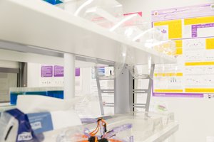 JAE investuos milijardus svarų į JK ekonomikos sektorius