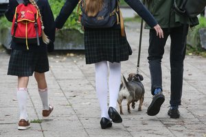 Bus vertinama, kaip mokyklose vyksta įtraukusis ugdymas