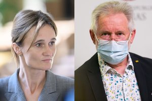 A. Sysas sureagavo į V. Čmilytės-Nielsen pasiūlymus šeimoms: pasakų šalies atvejis