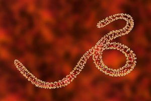 Vienas baisiausių pasaulio virusų nugalėtas, sako jį atradęs profesorius