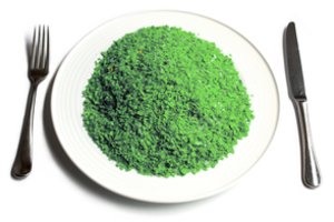 Kiek plastiko patenka į mūsų organizmus?