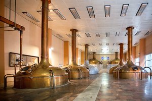 Infliacijos gaisrą aludariai gesina algomis