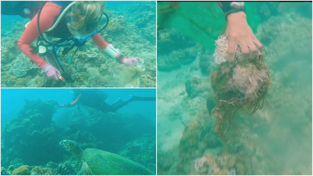 Savanorių pasiryžimas užburia: leidosi po vandeniu, jog išvalytų sauskelnėmis ir tinklais užterštus koralus