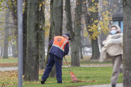 Artimiausiomis dienomis bobų vasaros nematyti: stiprės vėjas, orai išliks niūrūs