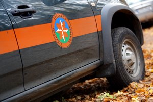 Praėjusią savaitę aplinkosaugininkai sulaukė beveik 400 pranešimų: daugiausia – dėl laukinių žvėrių