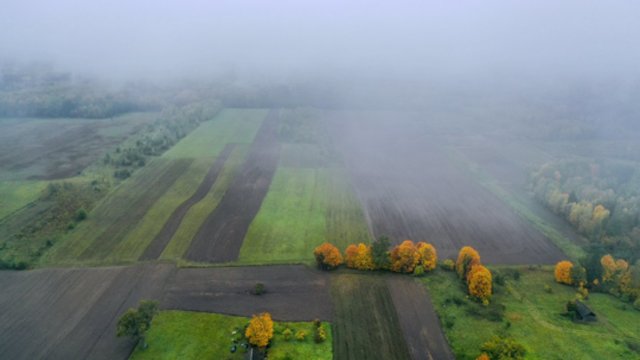 Sinoptikai nedžiugina: artimiausiomis dienomis sulauksime vėsių ir lietingų orų