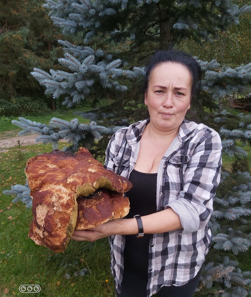Rūta Migunovienė su naujienų portalu lrytas.lt nusprendė pasidalinti neįprasto dydžio laimikiu – daugiau nei 2 kg sveriančiu baravyku.<br>Asm. archyvo nuotr. 