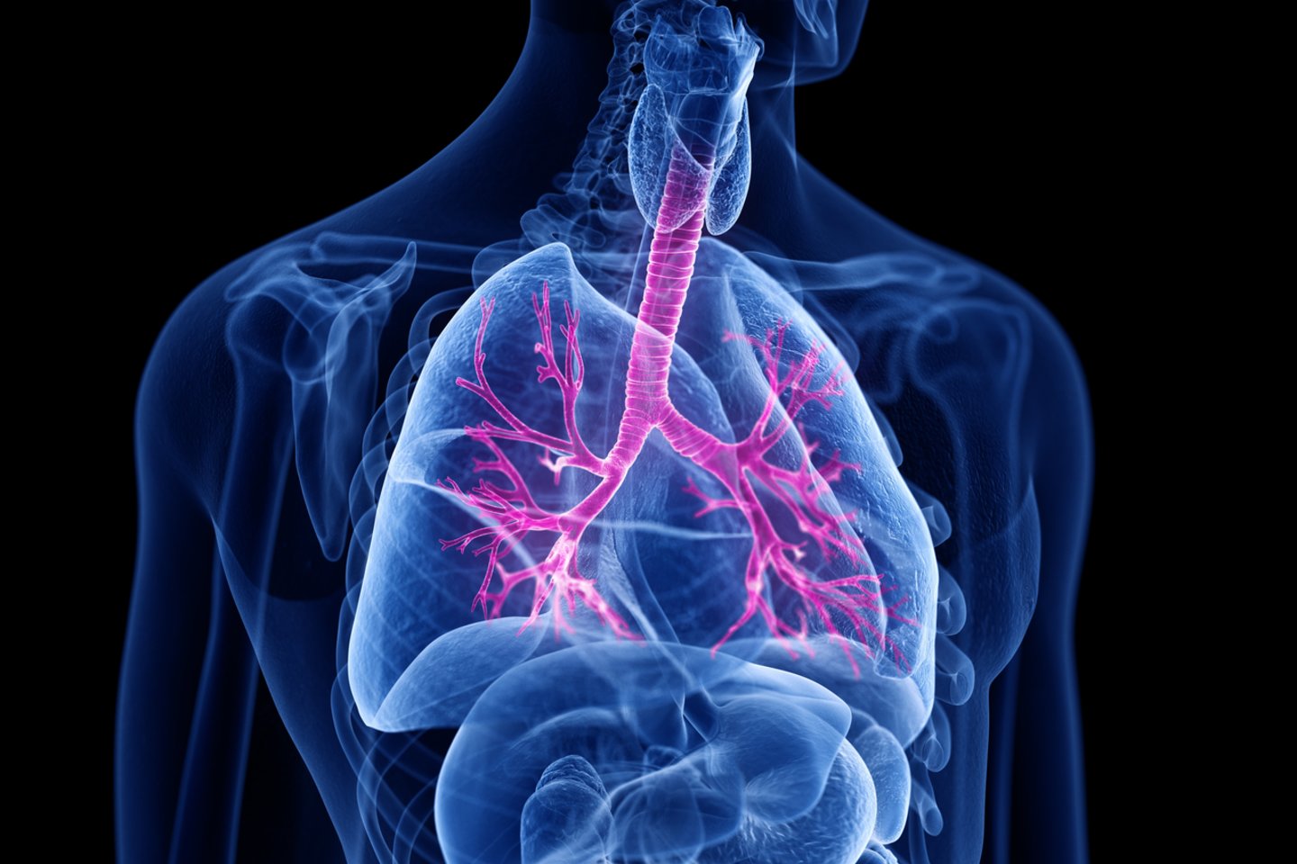 Plaučių fibrozė yra dažnam gyventojui niekada negirdėta liga.<br>123rf asociatyvi iliustr. 