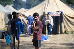 Latvijos ir Baltarusijos sieną neteisėtai kirsti bandė 15 žmonių