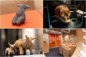 7 000 metų senumo Senosios Europos deivės atkeliavo į Lietuvą