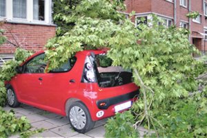 Dėl suniokoto automobilio – teismų maratonas: nesutaria, kas turi atlyginti 9 tūkst. eurų žalą