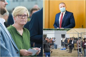 I. Šimonytė stebėjosi D. Gaižausko interpretacijomis: mano sveikas protelis neišneša