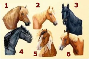 Pasirinkite arklį: sužinosite svarbų savo bruožą