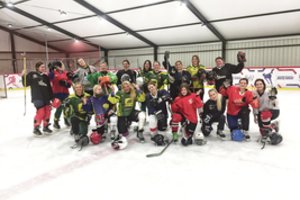 Kaune neliko ledo ritulio čempionų komandos: miesto garbę gins merginos