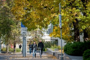 Klimatologas pasakė, kokių orų tikėtis kitą savaitę: sulauksime malonių pokyčių