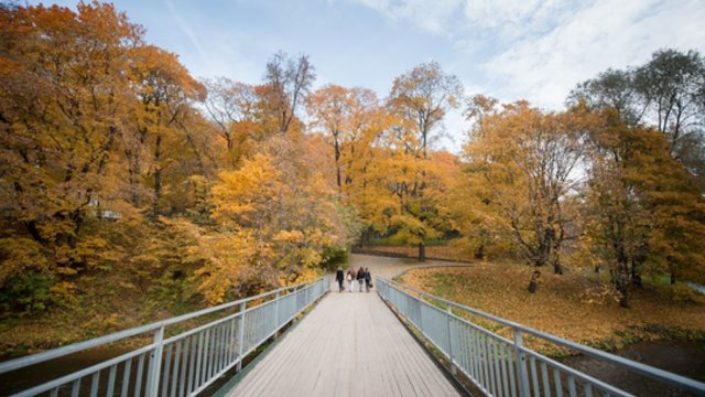 Naują savaitę sulauksime auksinio rudens: švies saulė, galimos nedidelės šalnos