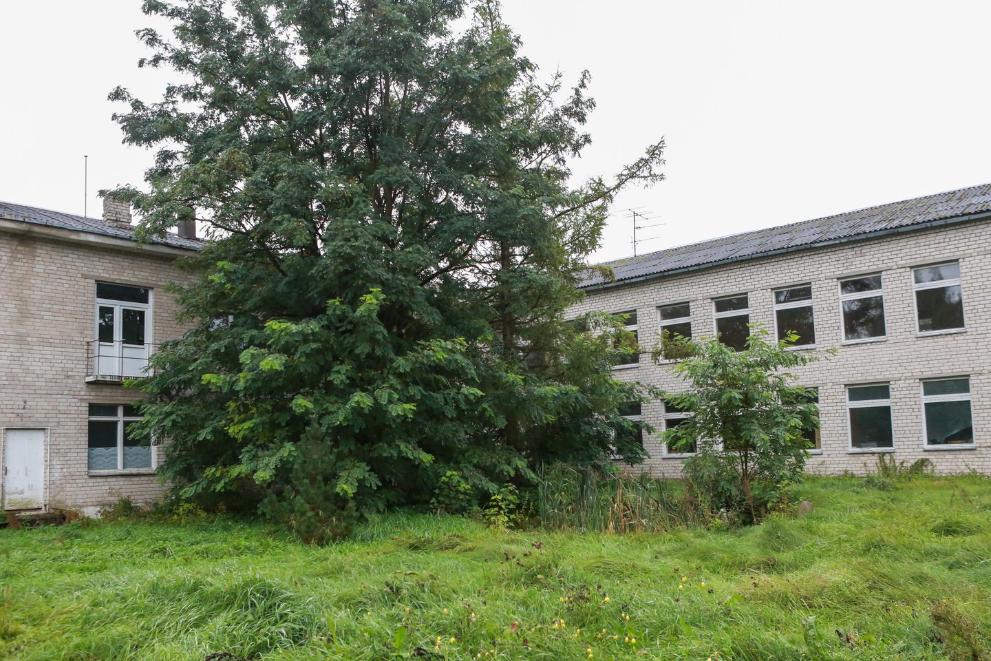 Prienų rajono miestelio gyventojai nusivylę: buvęs mokyklos pastatas atrodo taip, kaip jie net susapnuoti negalėjo.<br>G.Bitvinsko nuotr.
