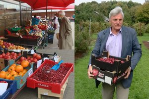 Prasidėjo itin vertingų uogų sezonas: kaina turguje nemaža, bet galima užsiauginti ir patiems