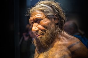 Dar vienas taškas neandertaliečių naudai: kūrė geresnius ginklus, nei įsivaizduojame
