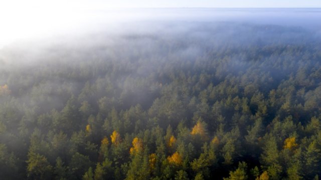 Sinoptikai praneša: saulės spinduliais galėsime pasimėgauti rečiau, lietaus tikimybė išliks maža