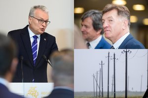 Sukritikavo prezidentūros siūlymą atidėti elektros tiekėjo pasirinkimo terminą: turėtume didžiulį chaosą