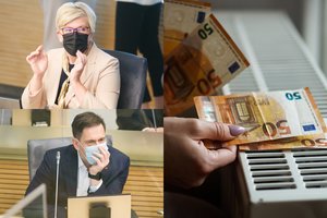 Brangstančių dujų ir elektros išsigando net Vyriausybė: nebevaldomas kainas ketina fiksuoti