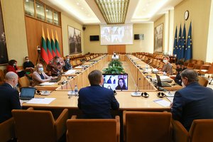 Seimo teisininkai: siūlymas įteisinti Statute šešėlinę Vyriausybę prieštarauja Konstitucijai