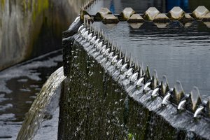 Vyriausybė – už didesnes baudas už aplinkos teršimą