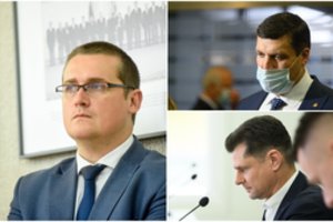 Po teismo sprendimo – S. Malinausko džiaugsmas: „Ir tai tik ledkalnio viršūnė“