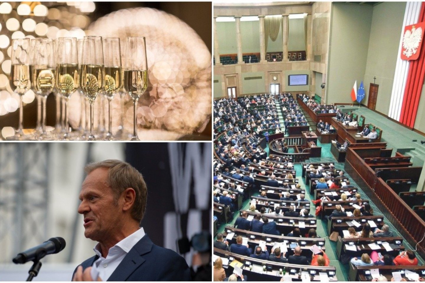 Būrys Lenkijos parlamentarų svarbų posėdį Seime iškeitė į pasilinksminimą.<br>Lrytas.lt koliažas.