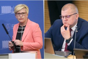 Seime – D. Gaižausko ir I. Šimonytės kaktomuša dėl pabėgusių migrantų: pasiūlė pasiimti lempą