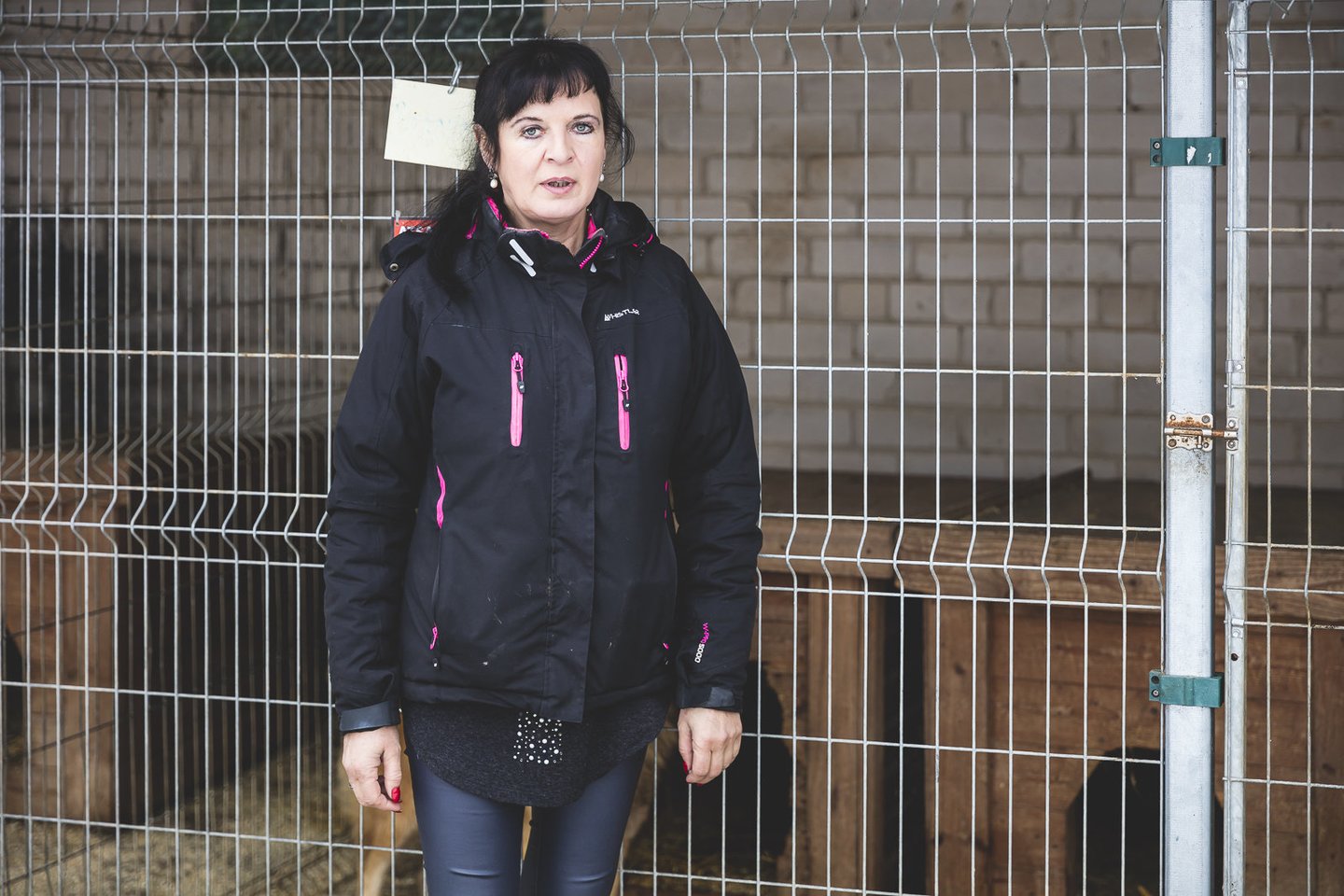  Gyvūnų globos draugijos vadovė Rūta Liberienė naujienų portalui JP teigia, kad kačių nebesuskaičiuoja.<br> R.Ančerevičiaus nuotr.