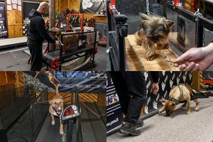 Tokio sporto klubo Lietuvoje daugiau nerasite niekur: po treniruočių šuo temps ir lėktuvą