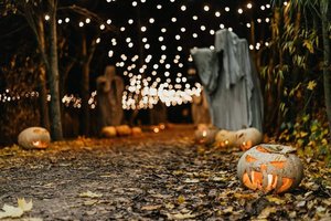 Lietuvoje vėl įsikurs tikras Helovino miestelis: pašiurpins net pačius drąsiausius