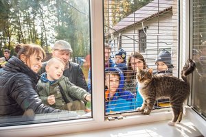 Panevėžio gyvūnų prieglauda sulaukė svečių ne tuščiomis rankomis