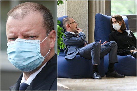 S. Skvernelis kritikavo A. Dulkį dėl patarėjos pasitraukimo: „Apgailėtina, kai aukoja darbuotoją, norint išsaugoti sveiką kailį“