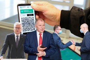 Galimybių pasui ir G. Nausėdai kritiką žėręs V. Andriukaitis į A. Dulkį žvelgė vienareikšmiškai: prisiimčiau atsakomybę