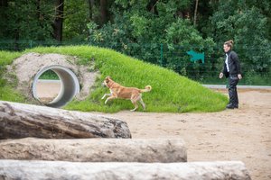 Vilnius gyvūnų dieną švenčia visus metus: aiškėja, kam iš 45 tūkst. registruotų augintinių teikia pirmenybę
