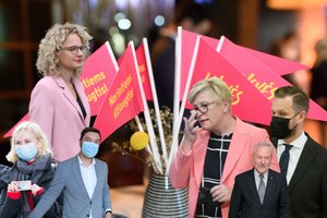 Smūgių sulaukiančiai Laisvės partijai – net ir konservatorių spyriai: taršo ir A. Armonaitės siūlymus